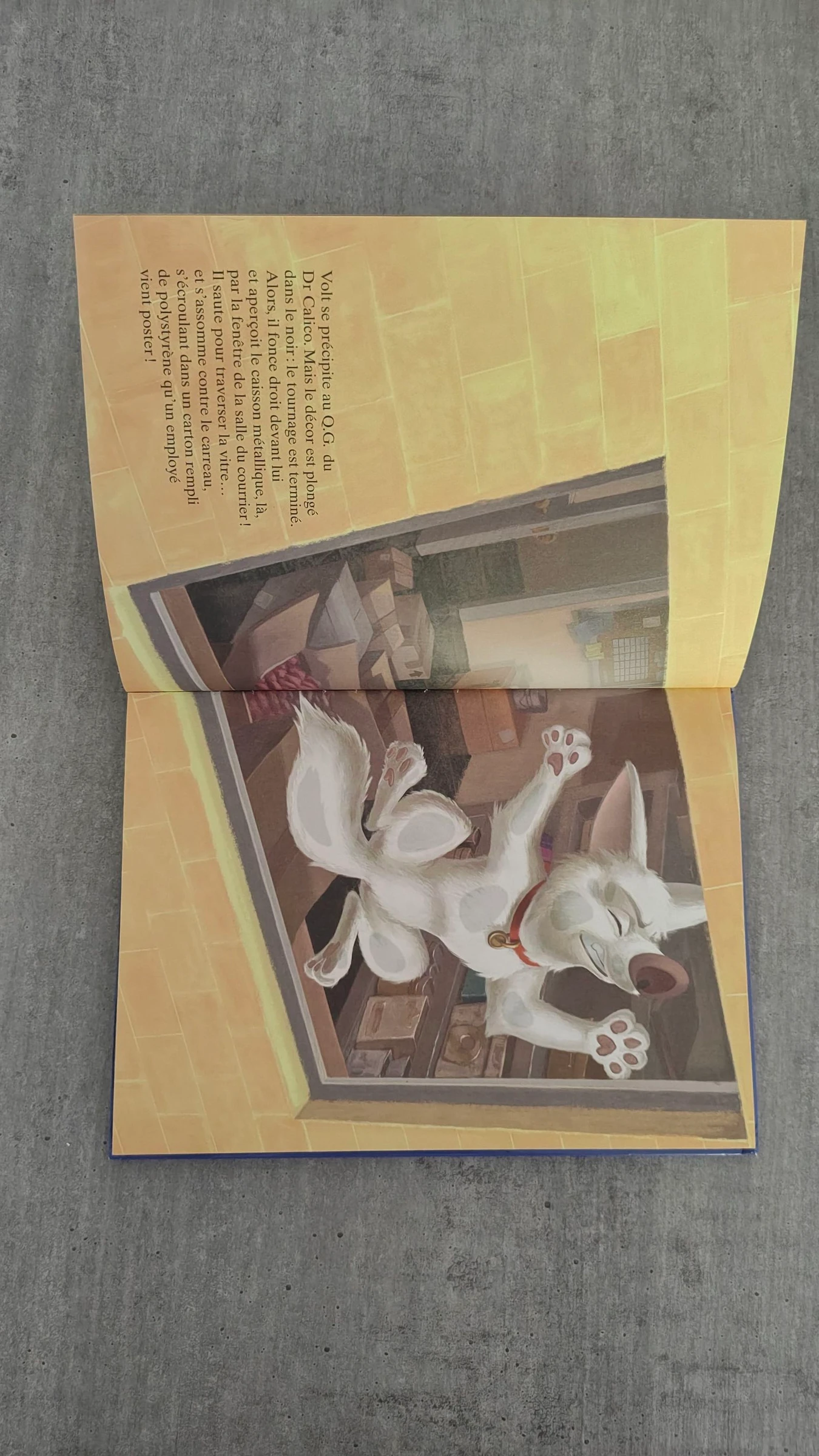 Libro infantil «Volt», estrella a pesar de sí mismo - Disney – photo 7